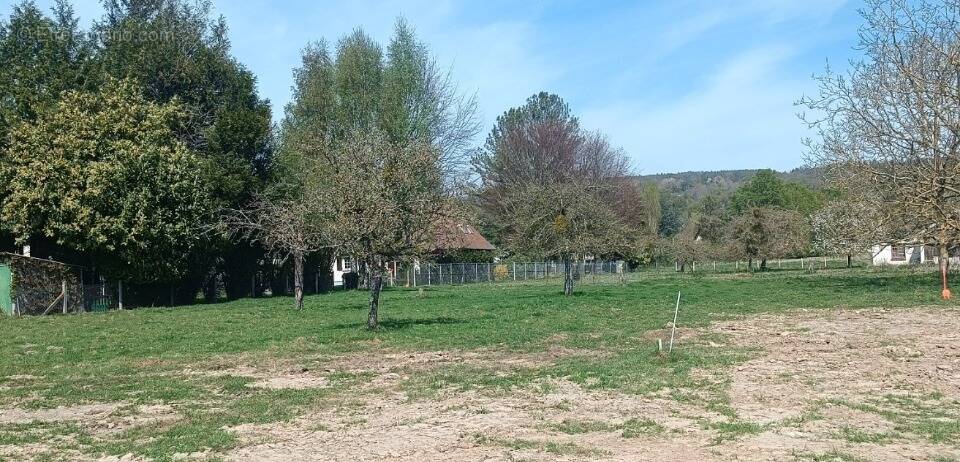 Terrain à SAINT-MARTIN-AUX-CHARTRAINS