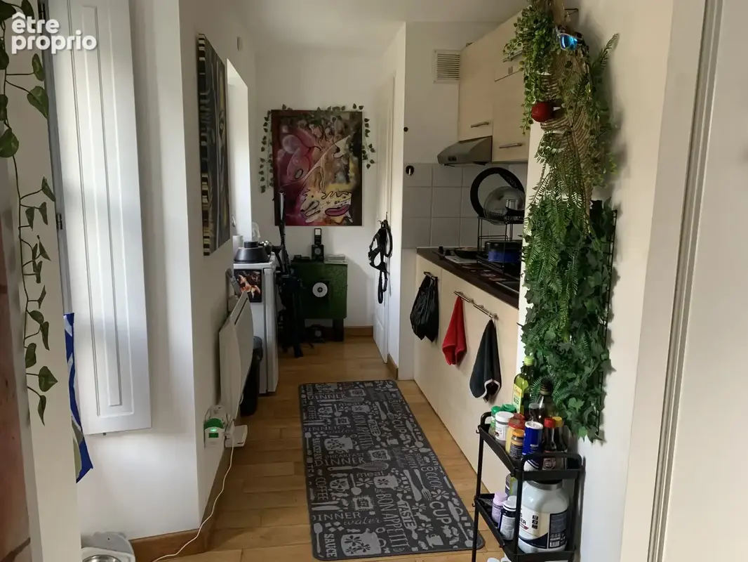 Appartement  31 M2 à acheter AMBOISE centre - photo 2
