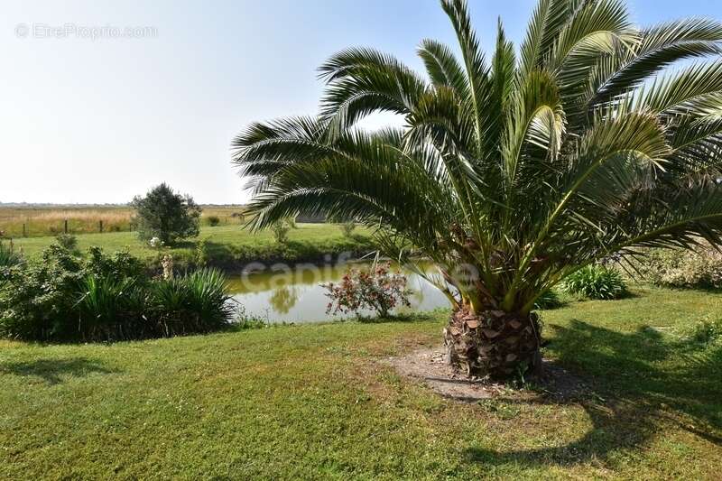 Maison à BEAUVOIR-SUR-MER