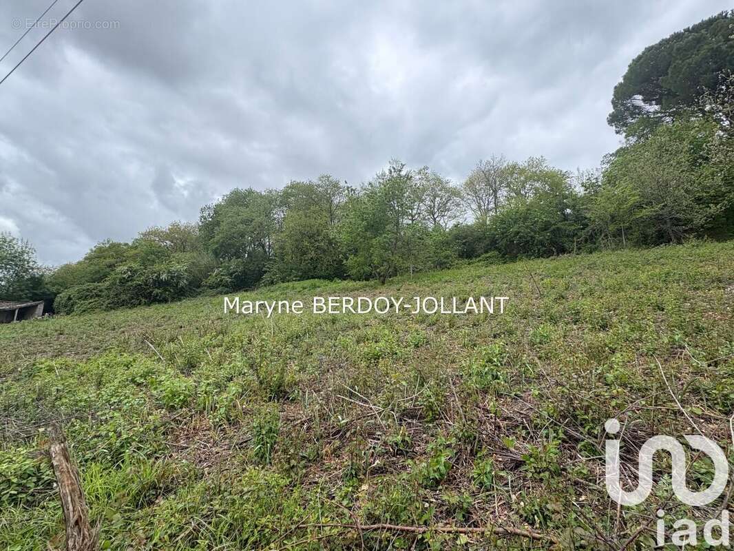 Photo 5 - Terrain à ASTAFFORT