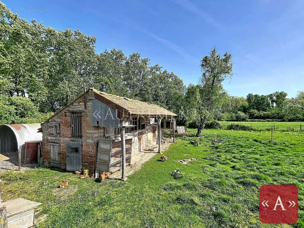 Ferme authentique - photo 18