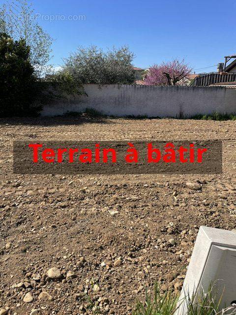 Terrain à TOUSSIEU