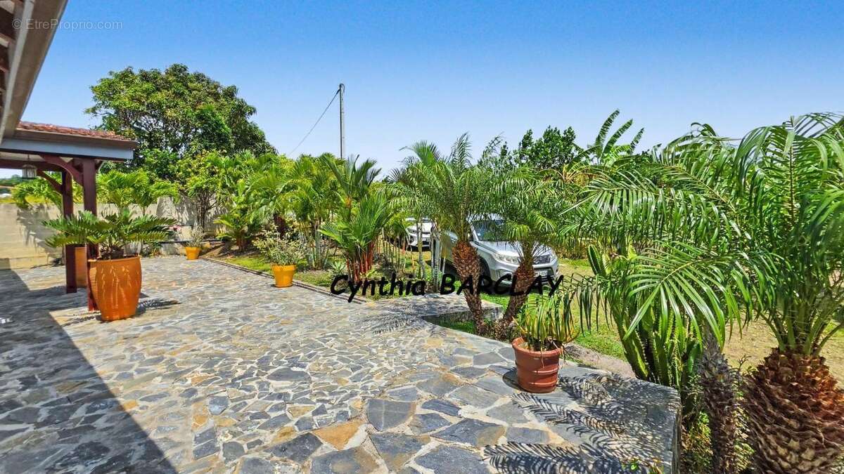 Maison 305 m² à Ducos  - photo 5