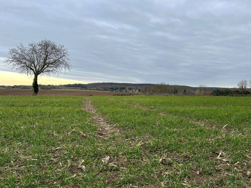 Terrain à VILLIERS-ADAM