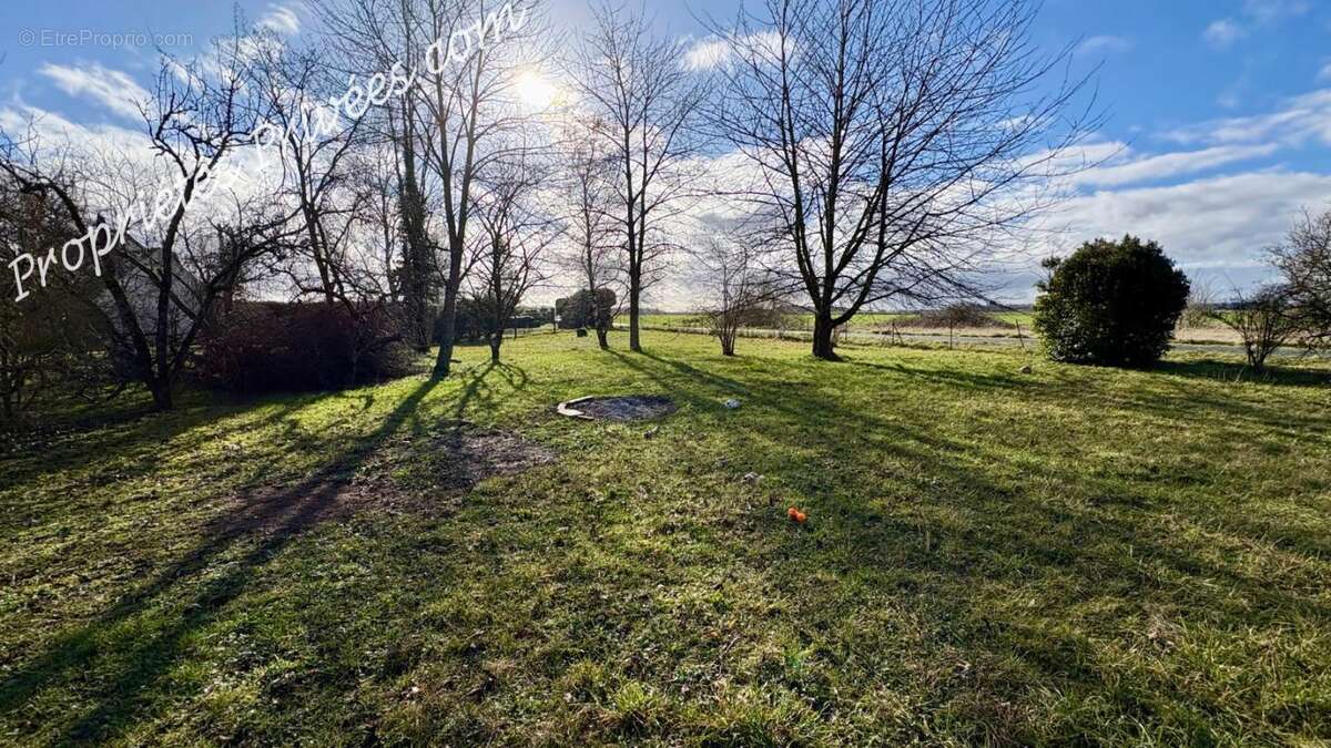 Terrain  801 m2 - photo 3