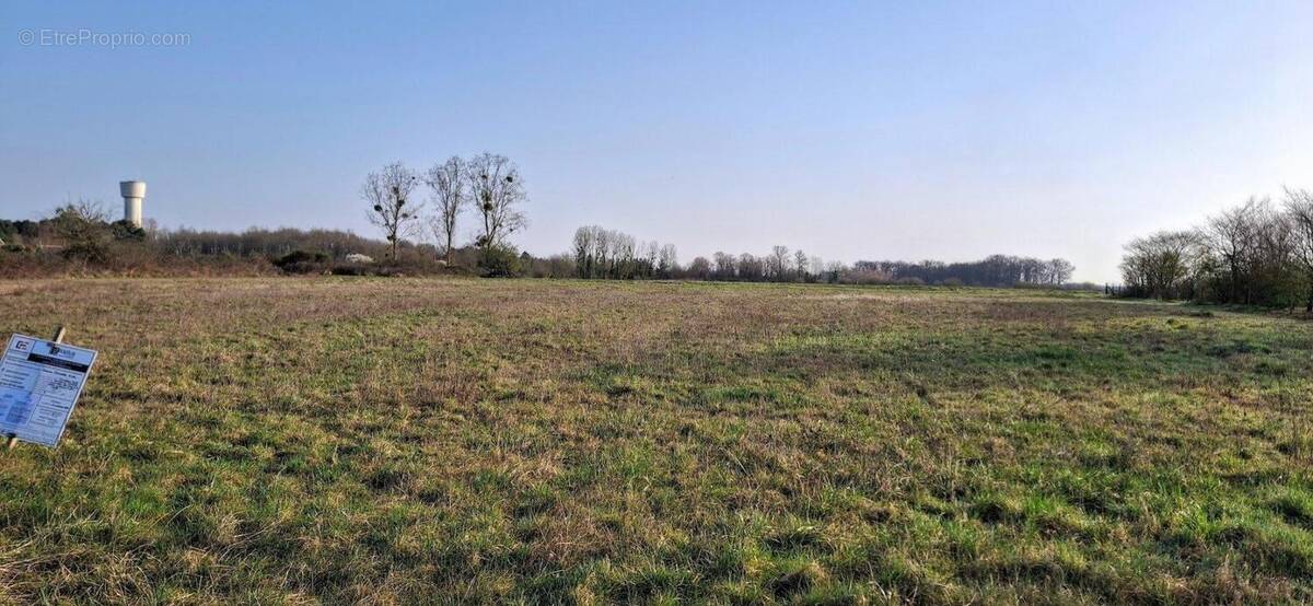Terrain à SOINGS-EN-SOLOGNE