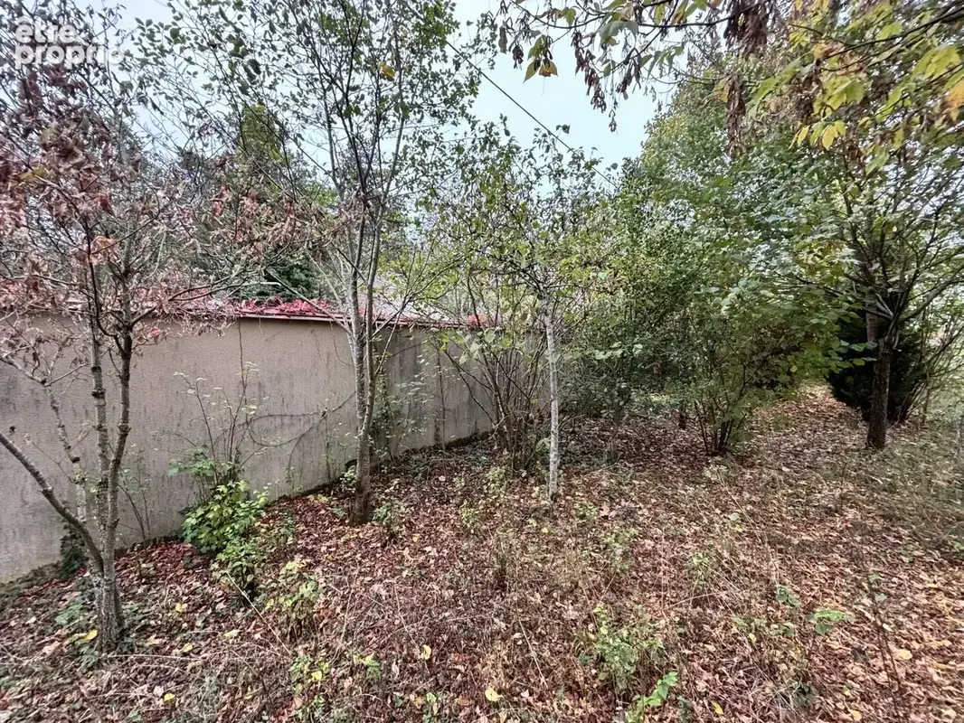 Vente Terrain Presles-et-thierny(02860) 55 000ï¿œ - photo 3