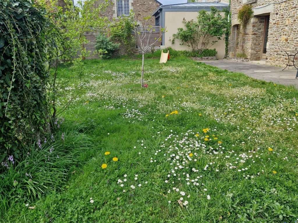 Maison à PLOUER-SUR-RANCE