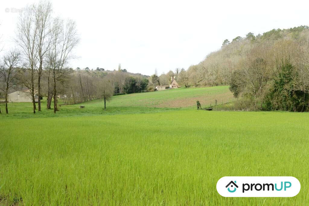 Terrain à CAMPSEGRET