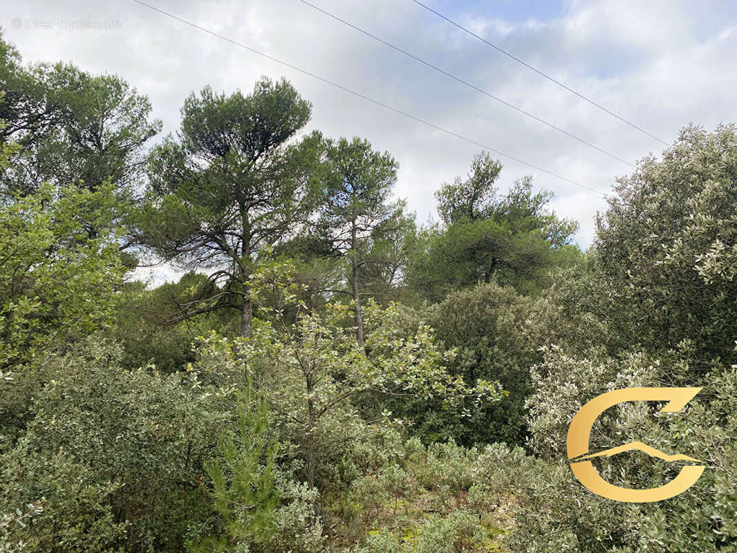 Vente terrain de loisir JOUQUES - photo 5