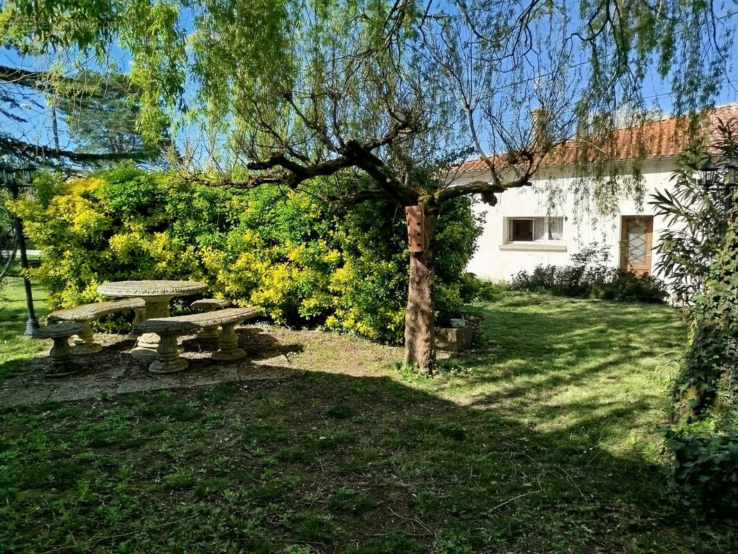 Maison à MONSEGUR