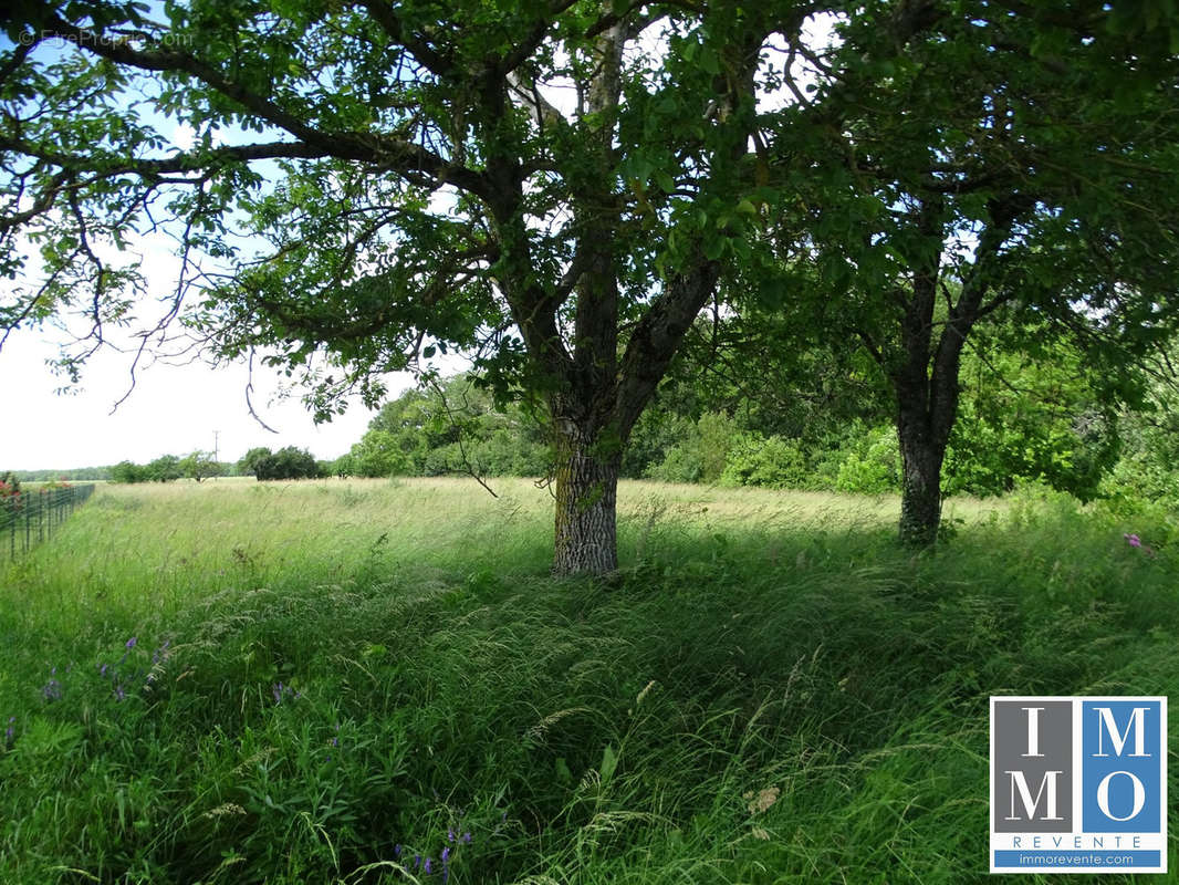 Maison à SAINT-GERMAIN-DES-BOIS