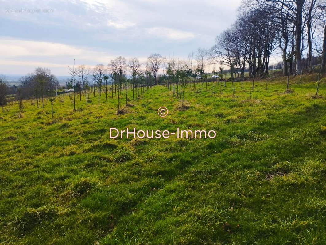 Terrain à TORIGNI-SUR-VIRE