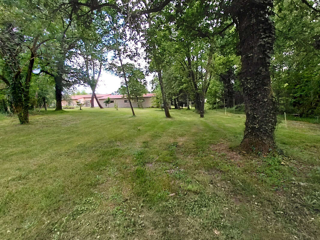 Les Lèches - Plain-pied de 4 chambres - photo 31