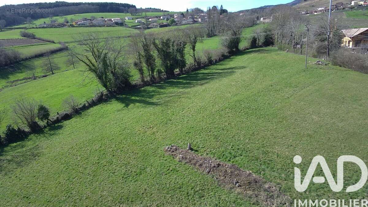 Photo 2 - Terrain à BEAUJEU