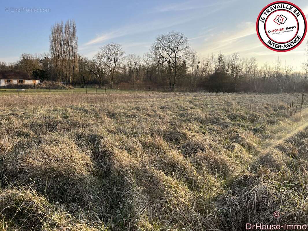 Terrain à SAINT-BENOIT-SUR-SEINE