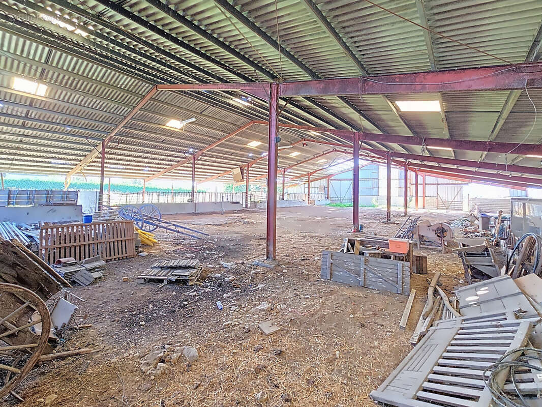 Terrain à NEUILLY-EN-DUN