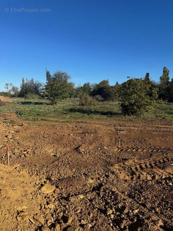 Terrain 400 m² à Fos-Sur-Mer  - photo 3
