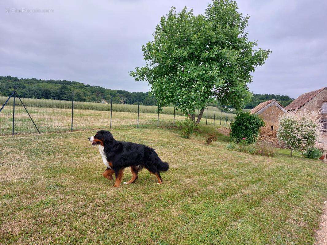 Maison à YVRE-L&#039;EVEQUE