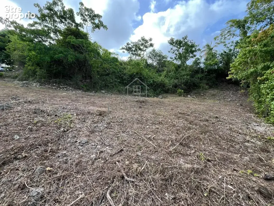 A vendre : terrain de 1072 m² au gosier (97190) - photo 4