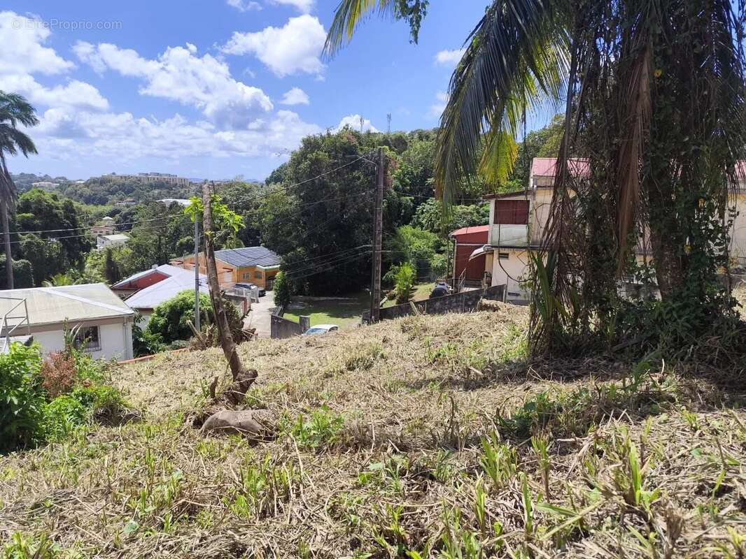 Terrain à FORT-DE-FRANCE