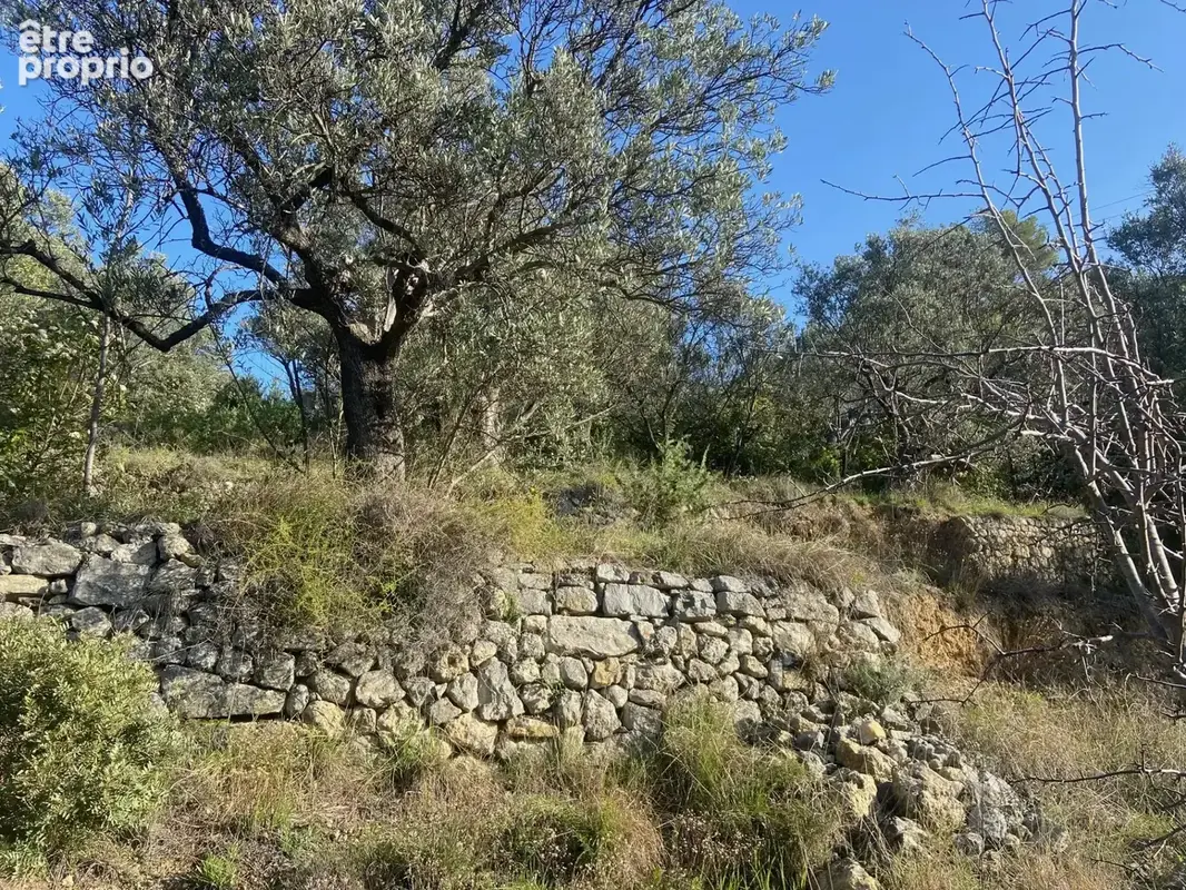 Terrain 1 680 m² à vendre à Claviers (83830) - photo 4