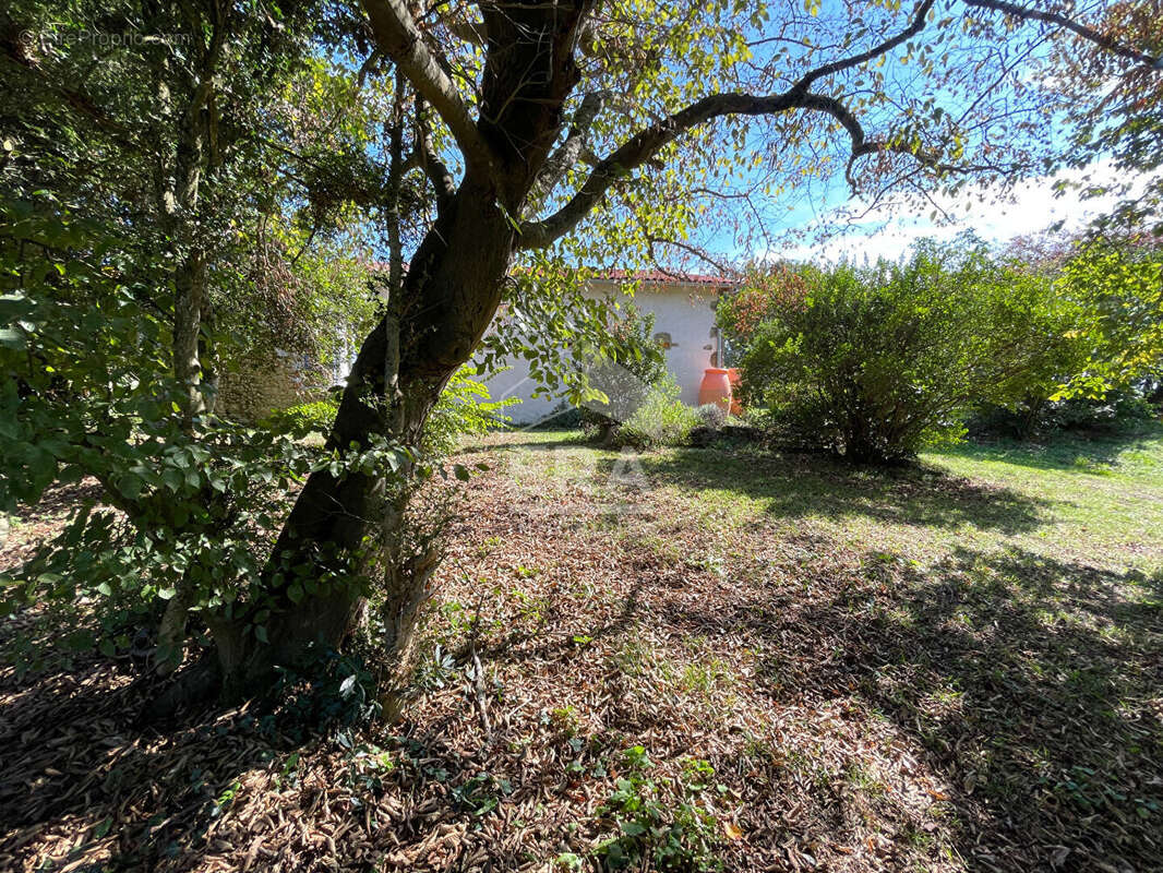 Maison 164m² à pallanne - photo 7