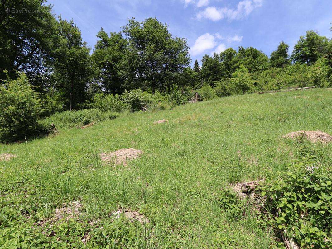 Maison à AUBUSSON-D&#039;AUVERGNE