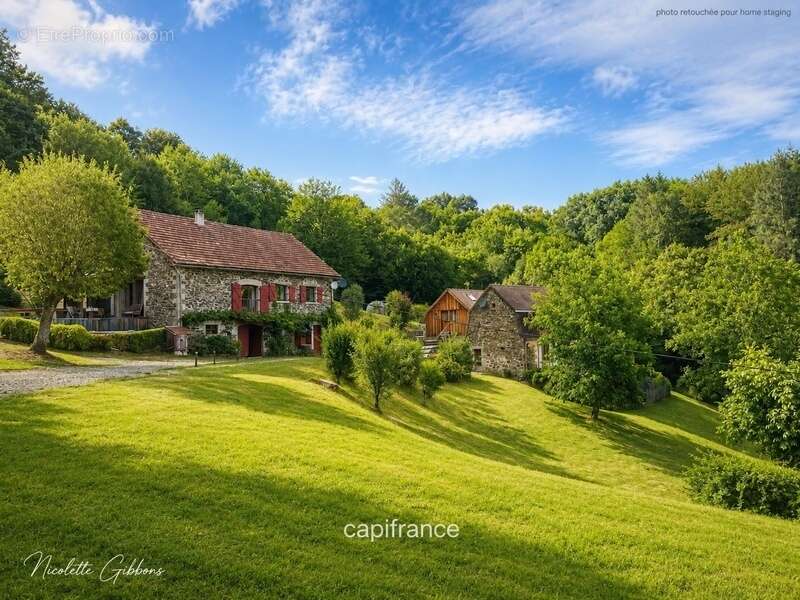 Domaine avec Trois Gîtes, Deux Sources Naturelles, Deux Piscines et 6 Hectares aux Portes de Beaulieu-sur-Dordogne - photo 6