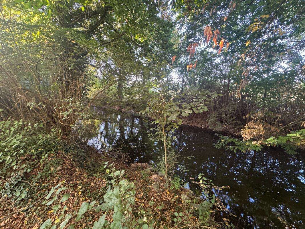 Maison à GAUDREVILLE-LA-RIVIERE