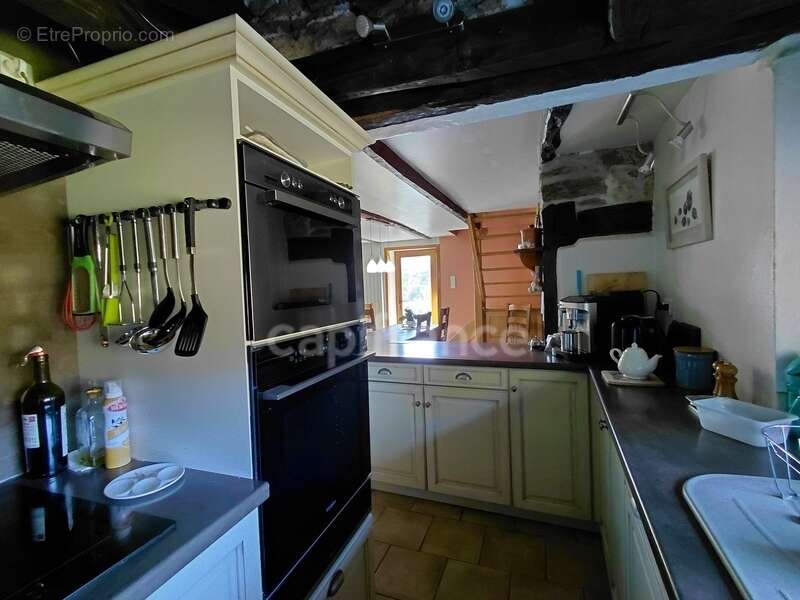 Maison à VIEILLEVIE