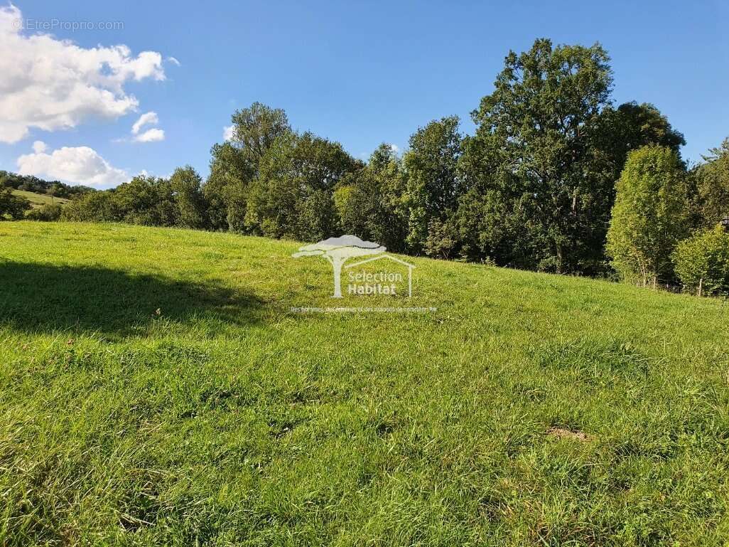 Terrain à SAINT-CHRISTOPHE-VALLON