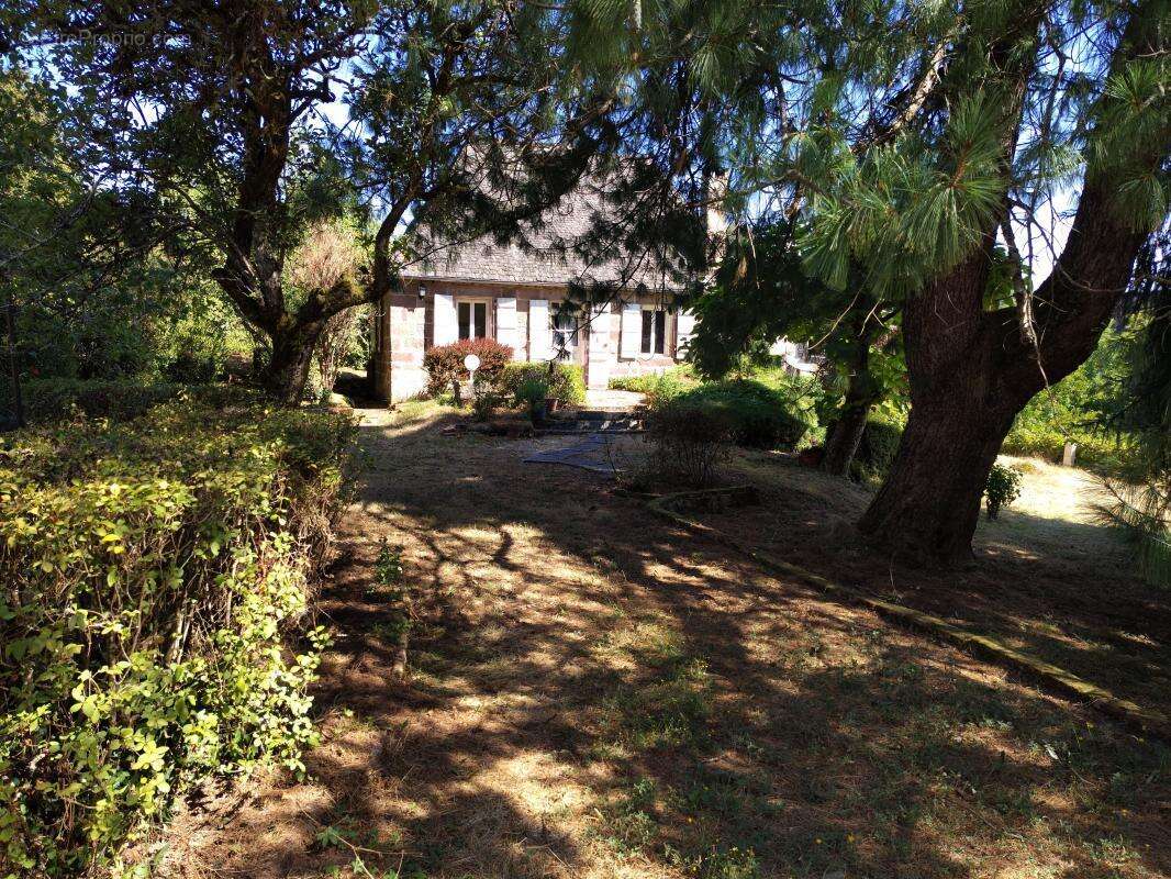 Maison À Vendre - photo 2