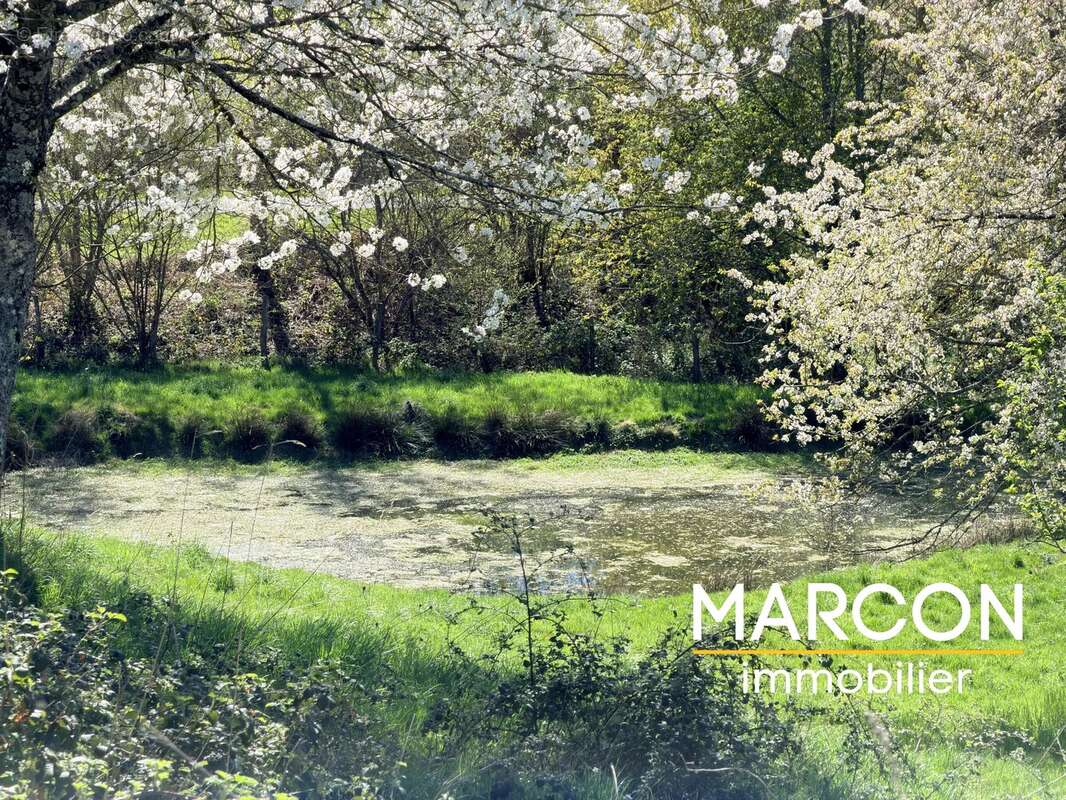 Maison à CHATELUS-MALVALEIX