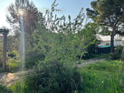 Terrain à LES ANGLES