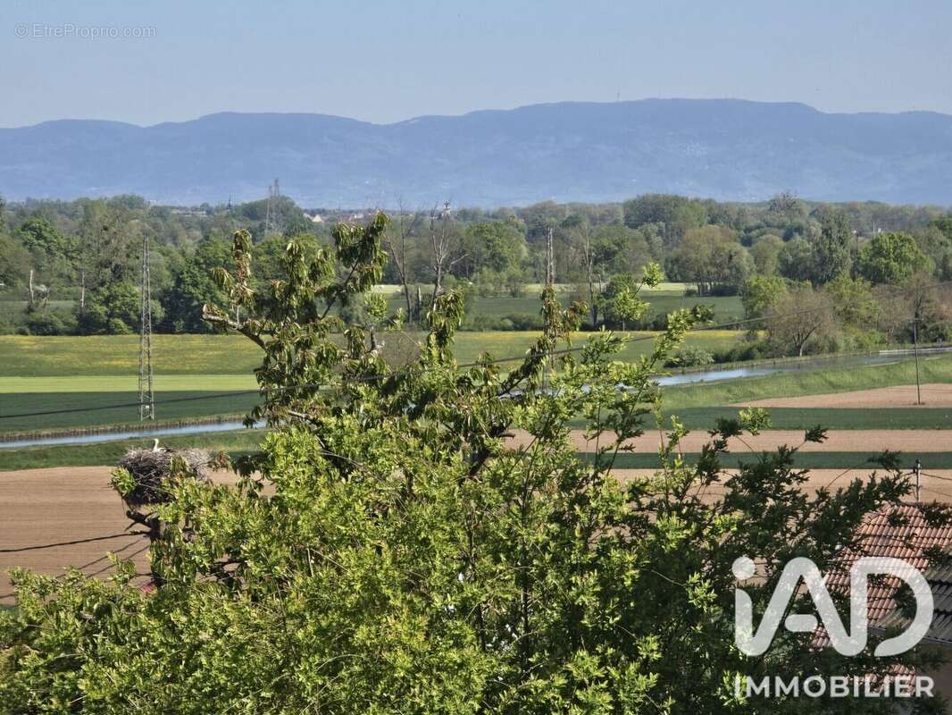 Terrain 466 m² à Waltenheim-Sur-Zorn  - photo 8