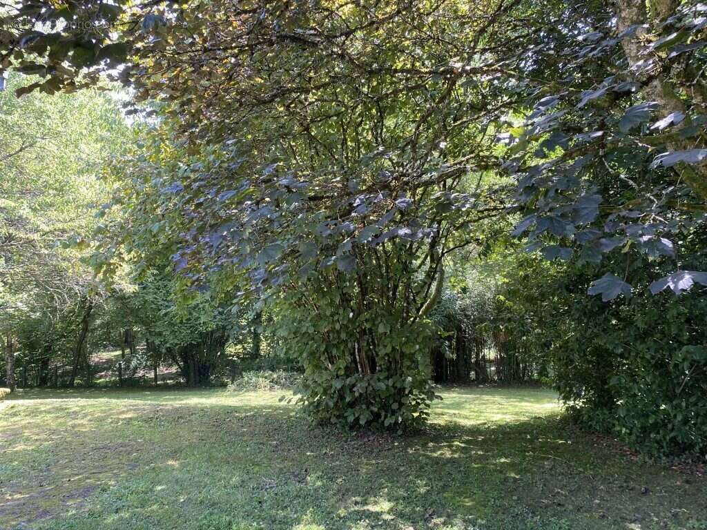 Maison 40 m² à Saint-Gilles-Les-Forets  - photo 6