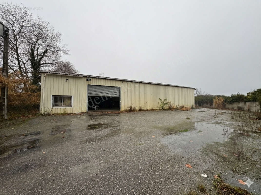 Commerce à CARCASSONNE