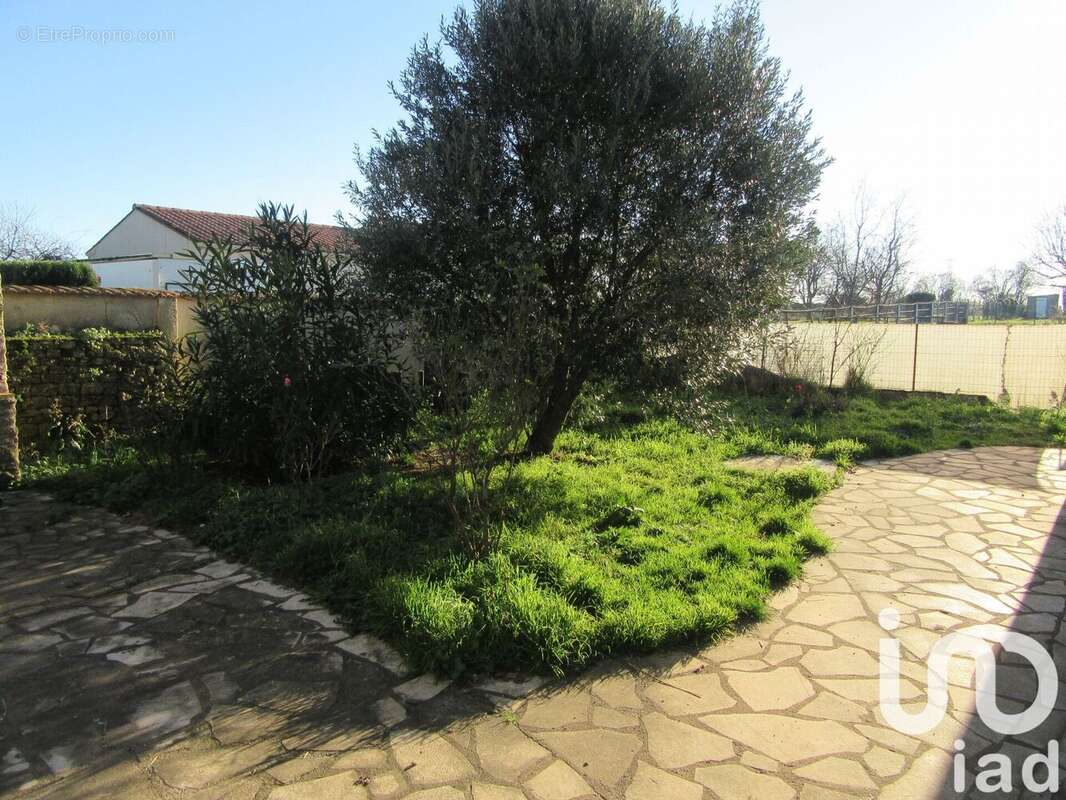 Photo 4 - Maison à FONTENAY-LE-COMTE