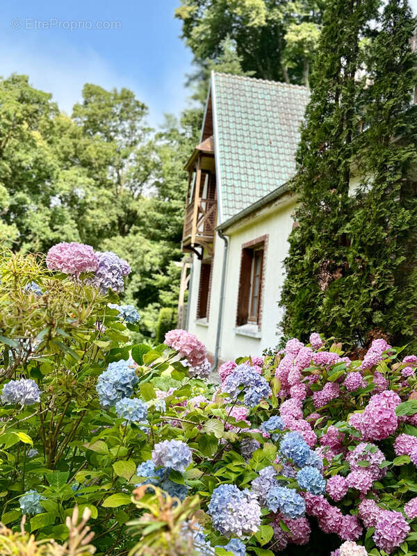 Maison de charme au cœur du Bois de Cise, dans un écrin de verdure - photo 2