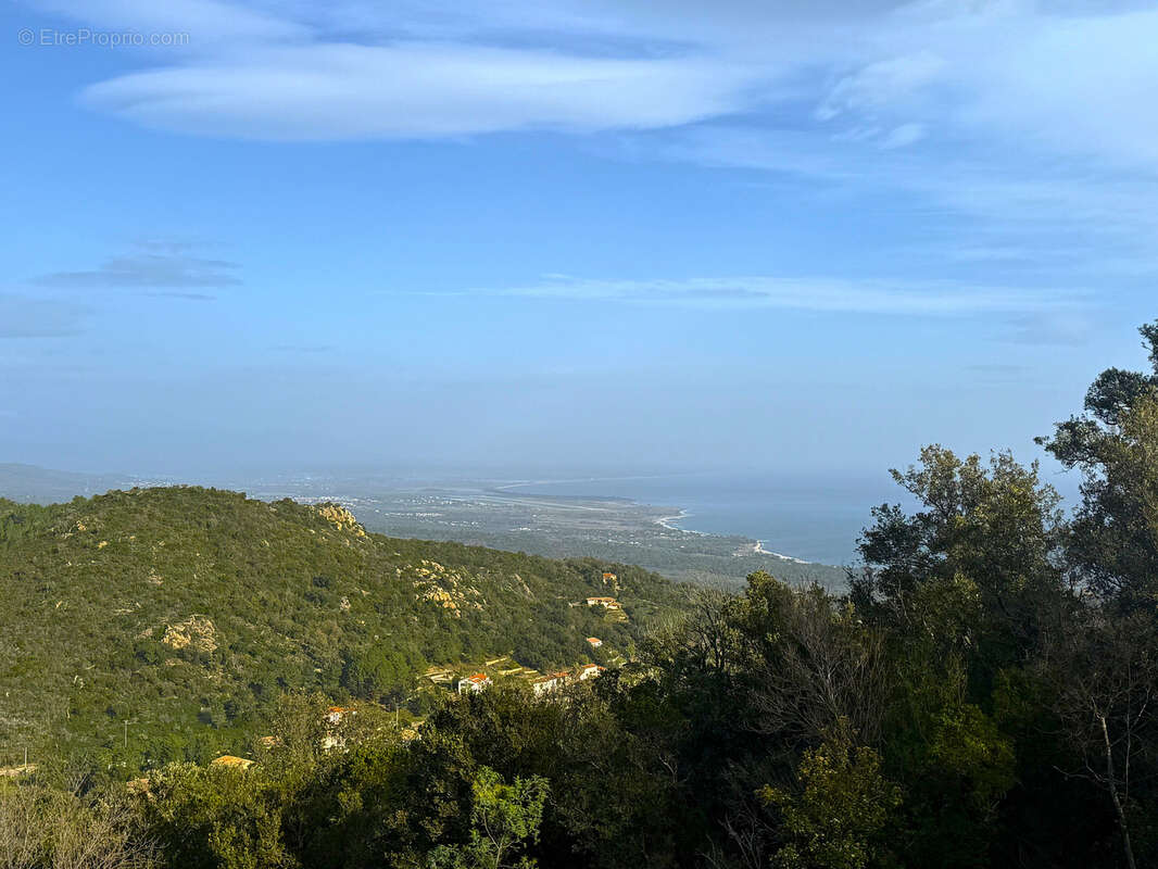 Terrain à SARI-SOLENZARA