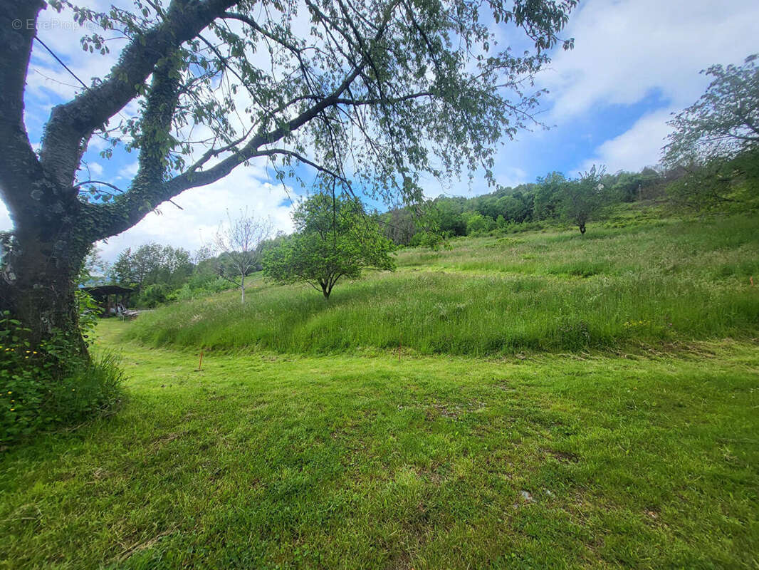 Terrain Sainte-Agnès 700 m² - non viabilisé - photo 5