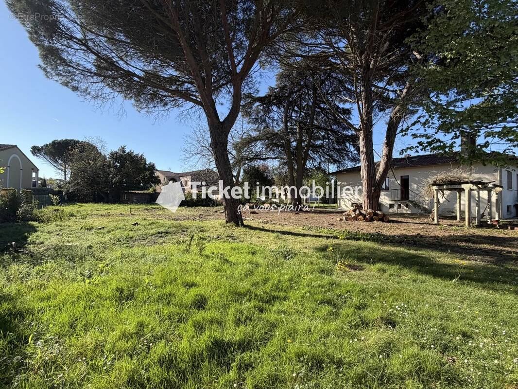 Terrain à SAINT-JEAN