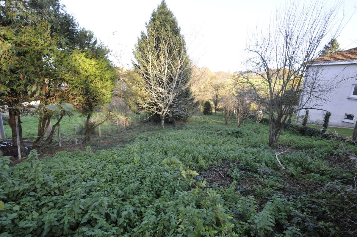 Terrain à VICQ-SUR-BREUILH
