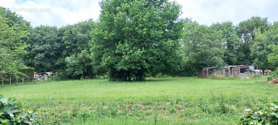 Terrain à MENESPLET