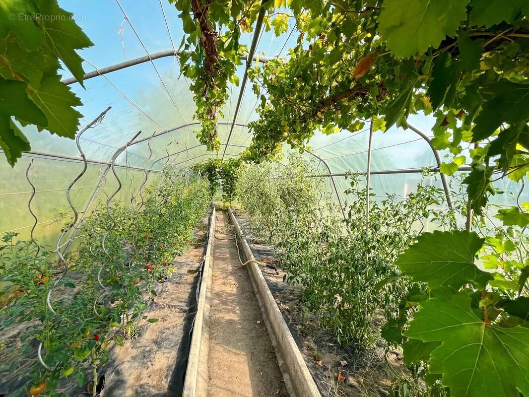 Appartement à LES GRANDES-VENTES