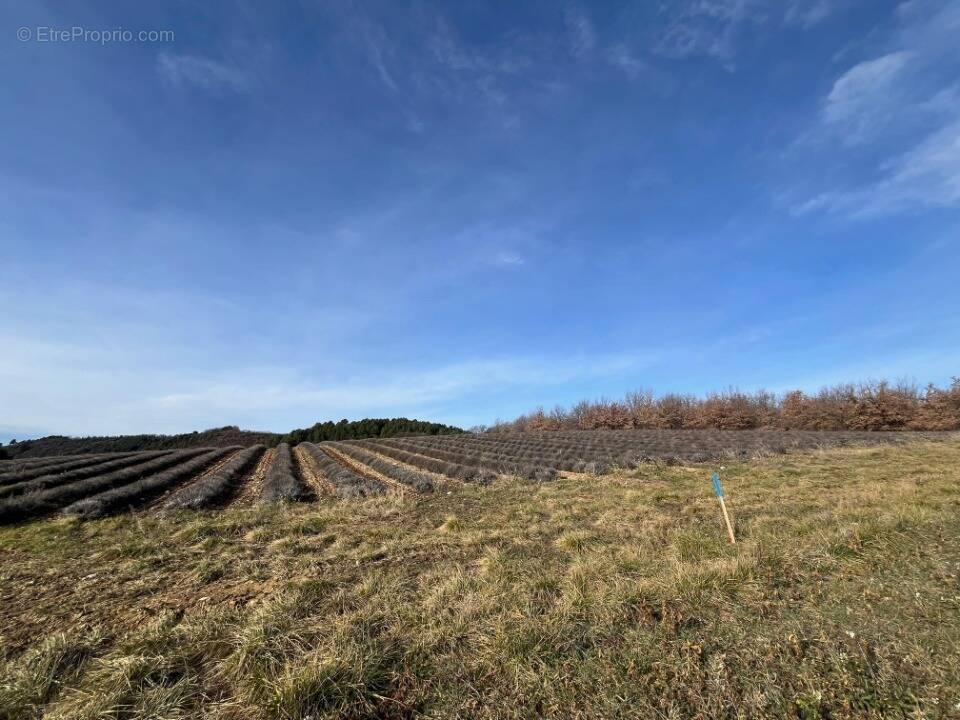 Terrain à ROUMOULES