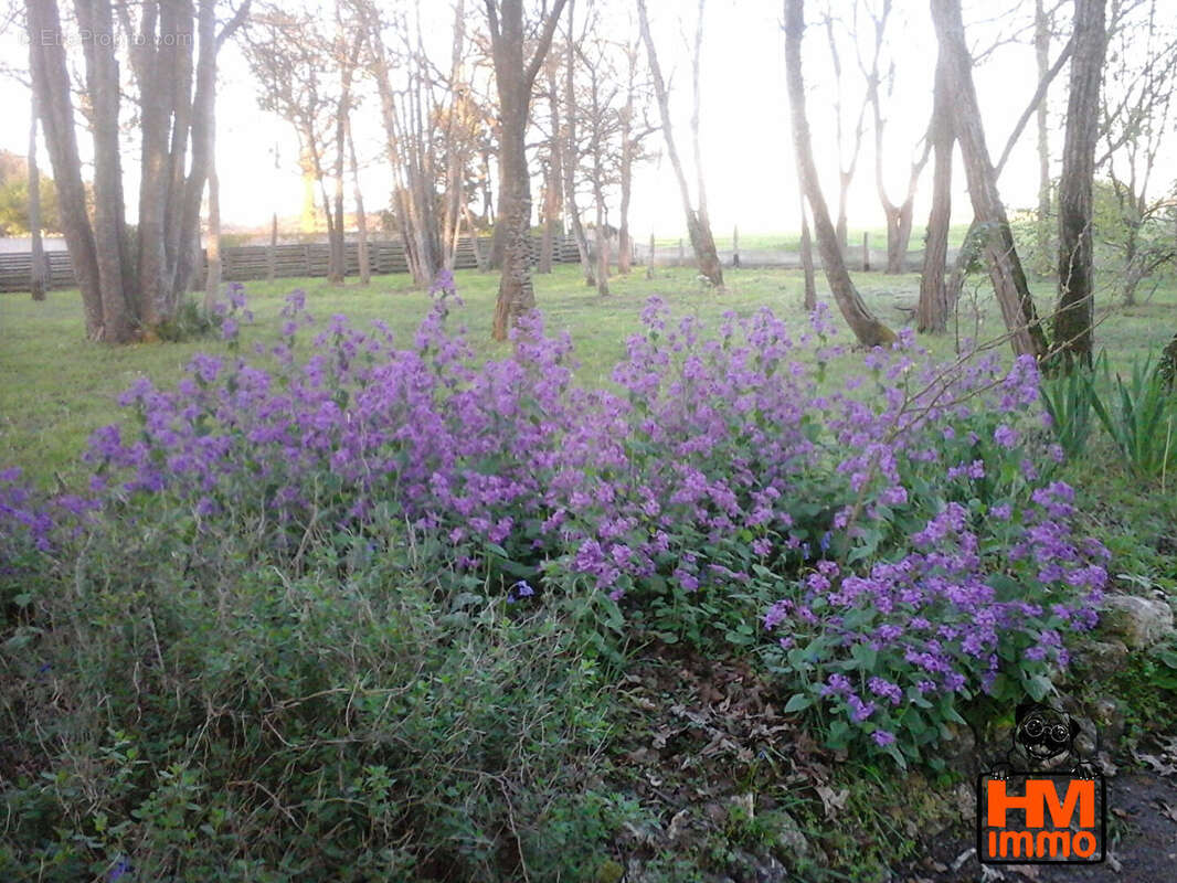 Maison à SAINT-JUST-LUZAC