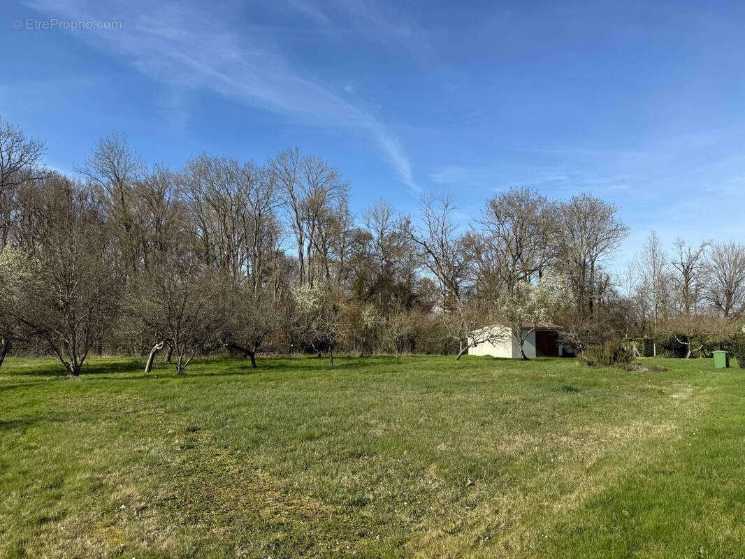 Terrain à VILLY-LE-MARECHAL