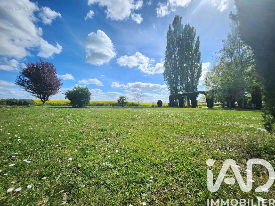 Photo 1 - Terrain à SAINT-MAURICE-MONTCOURONNE